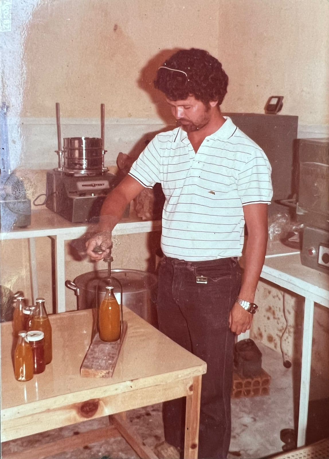 Alvino (Historia e Fundaçao)